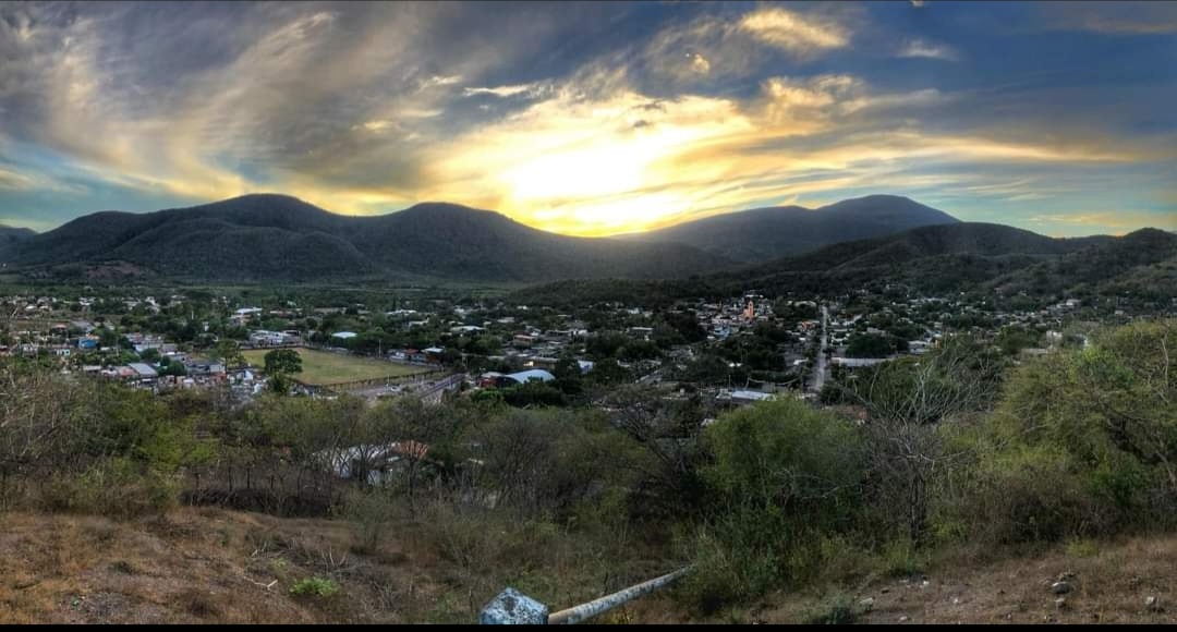 leetx-google-photo-47264-7 leetx-google-photo-47264-7