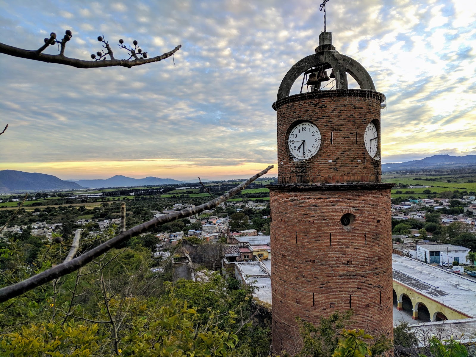 leetx-google-photo-47273-1