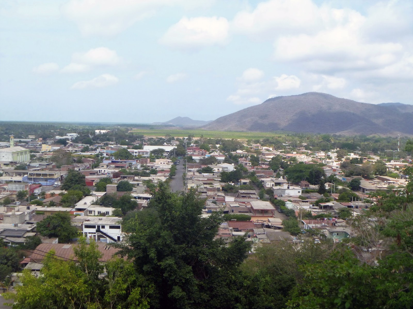 leetx-google-photo-47287-1