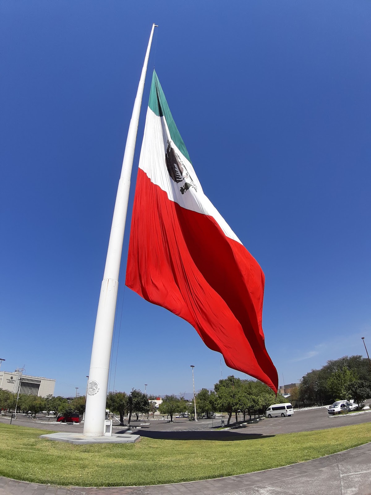 leetx-google-photo-47303-2 leetx-google-photo-47303-2