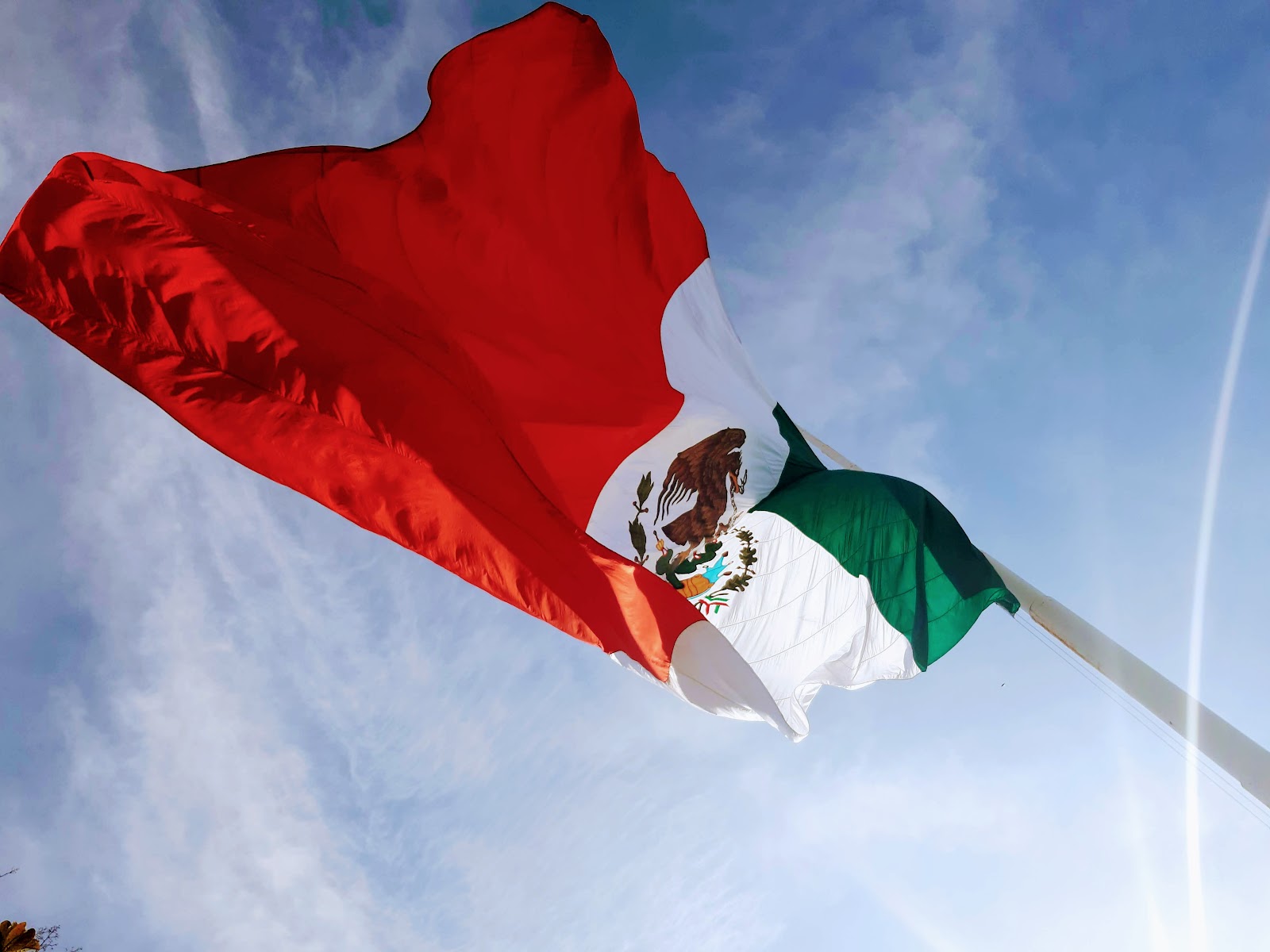 leetx-google-photo-47303-3 leetx-google-photo-47303-3