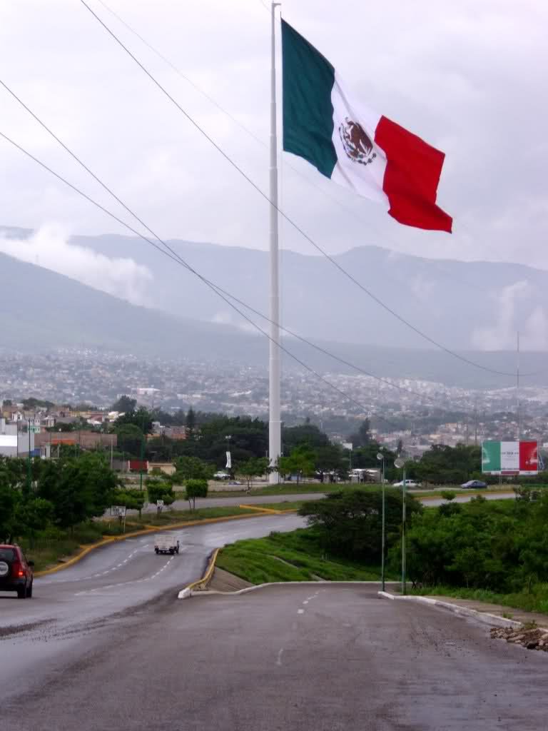 leetx-google-photo-47303-5 leetx-google-photo-47303-5