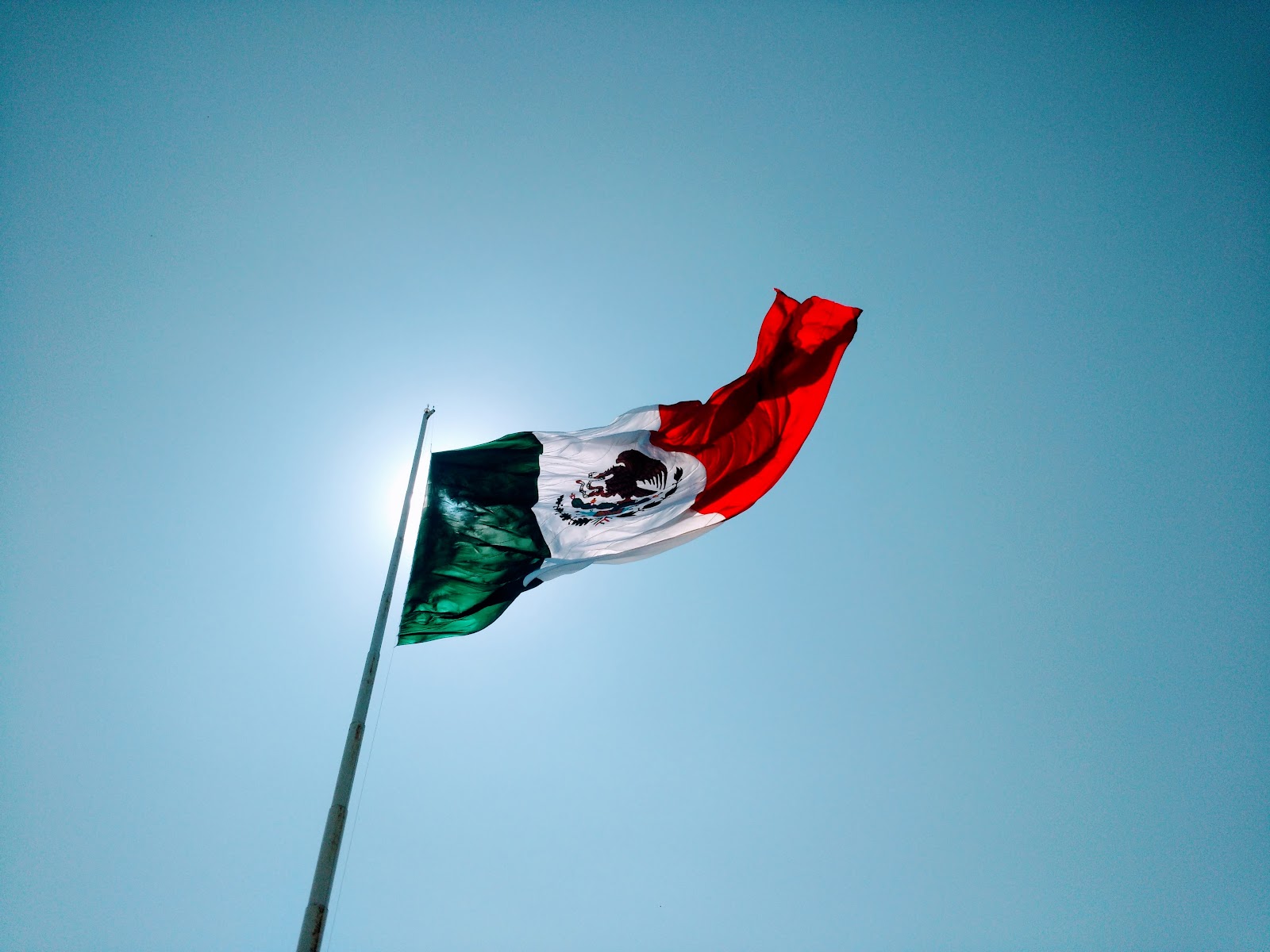 leetx-google-photo-47303-7 leetx-google-photo-47303-7