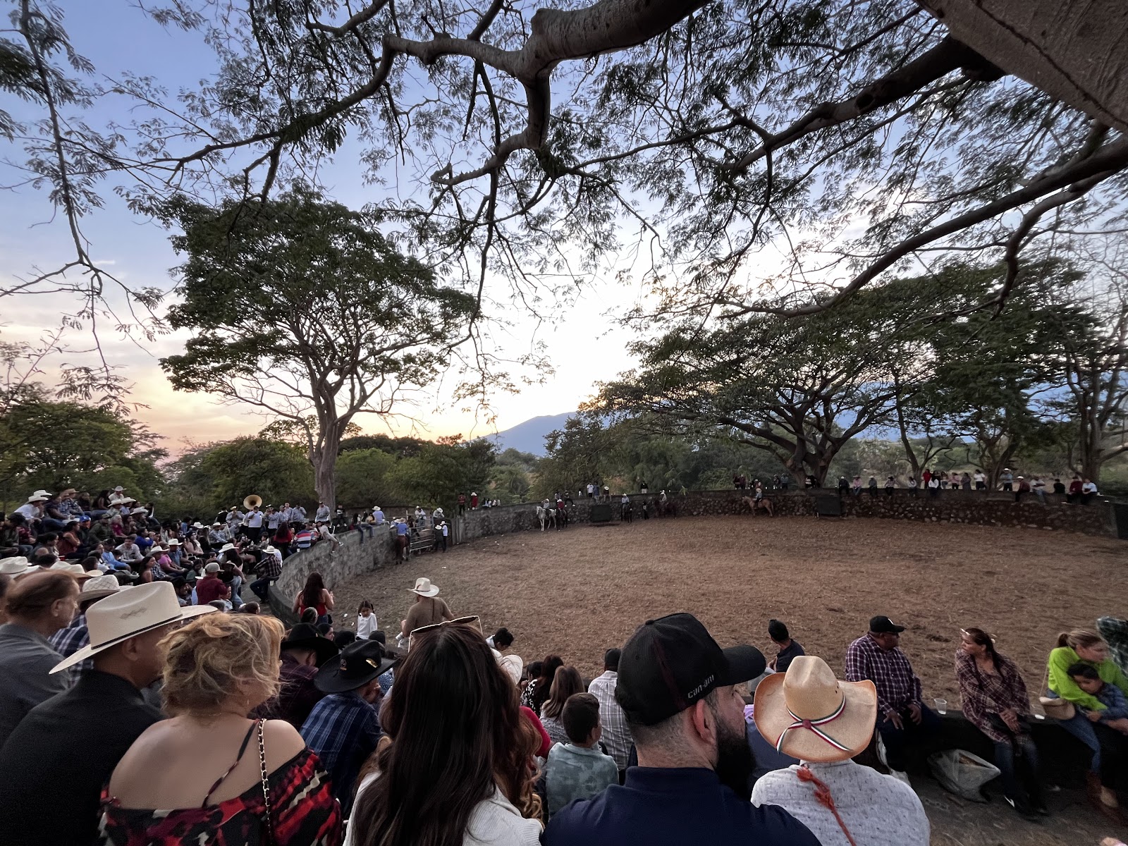 leetx-google-photo-47311-1