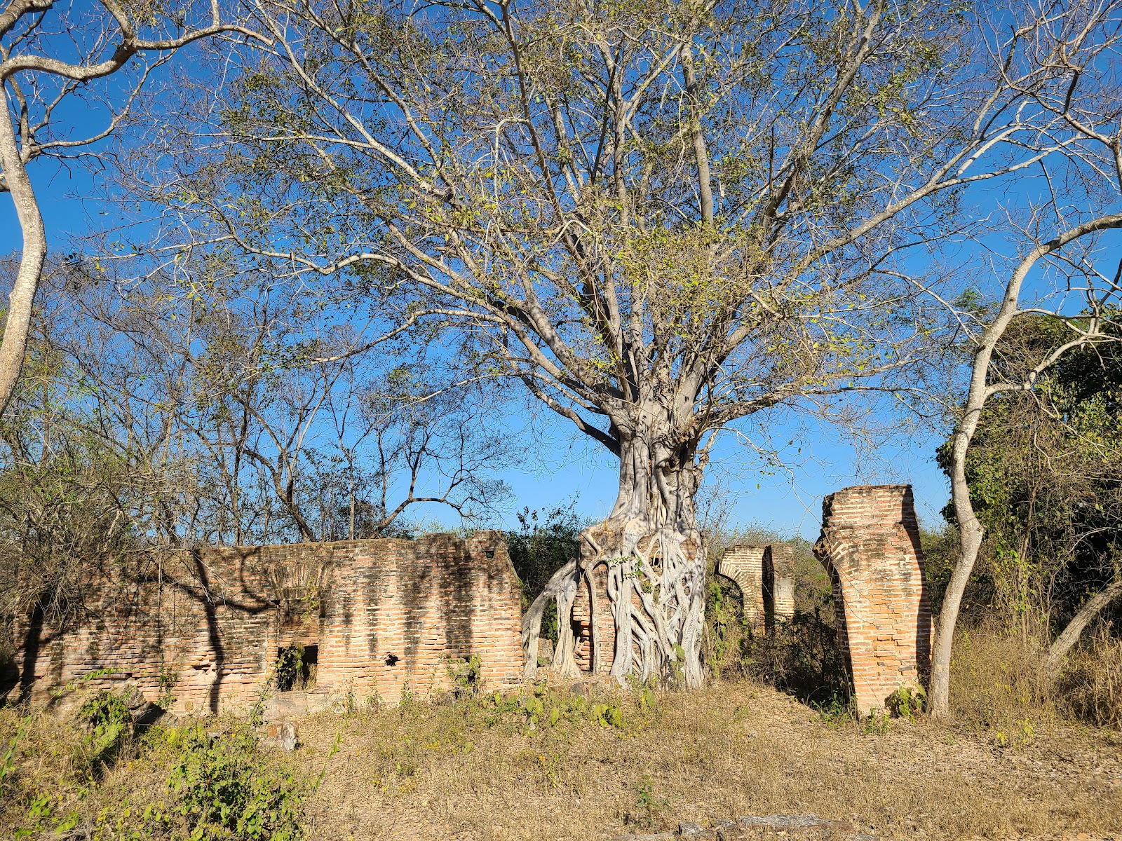 leetx-google-photo-47339-1