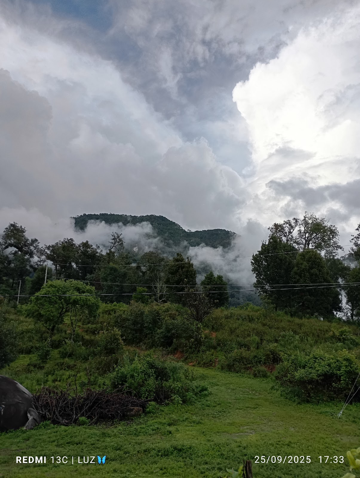 leetx-google-photo-47351-1