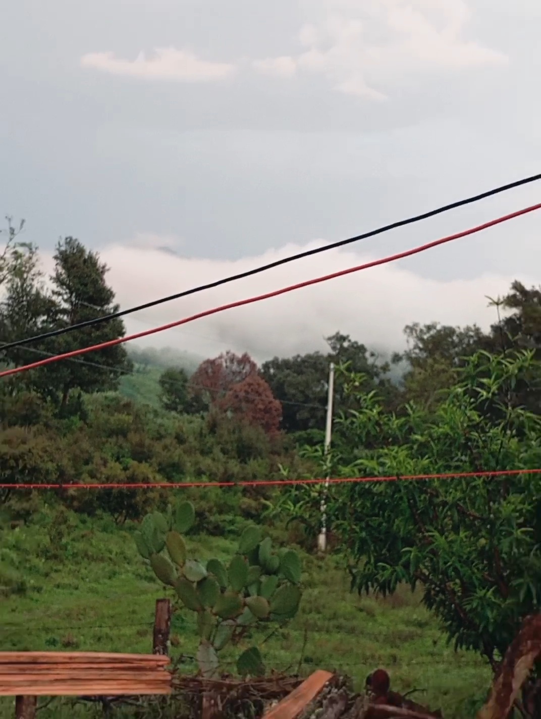 leetx-google-photo-47351-2 leetx-google-photo-47351-2