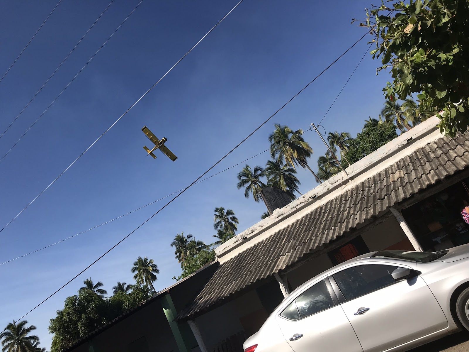 leetx-google-photo-47372-1-1