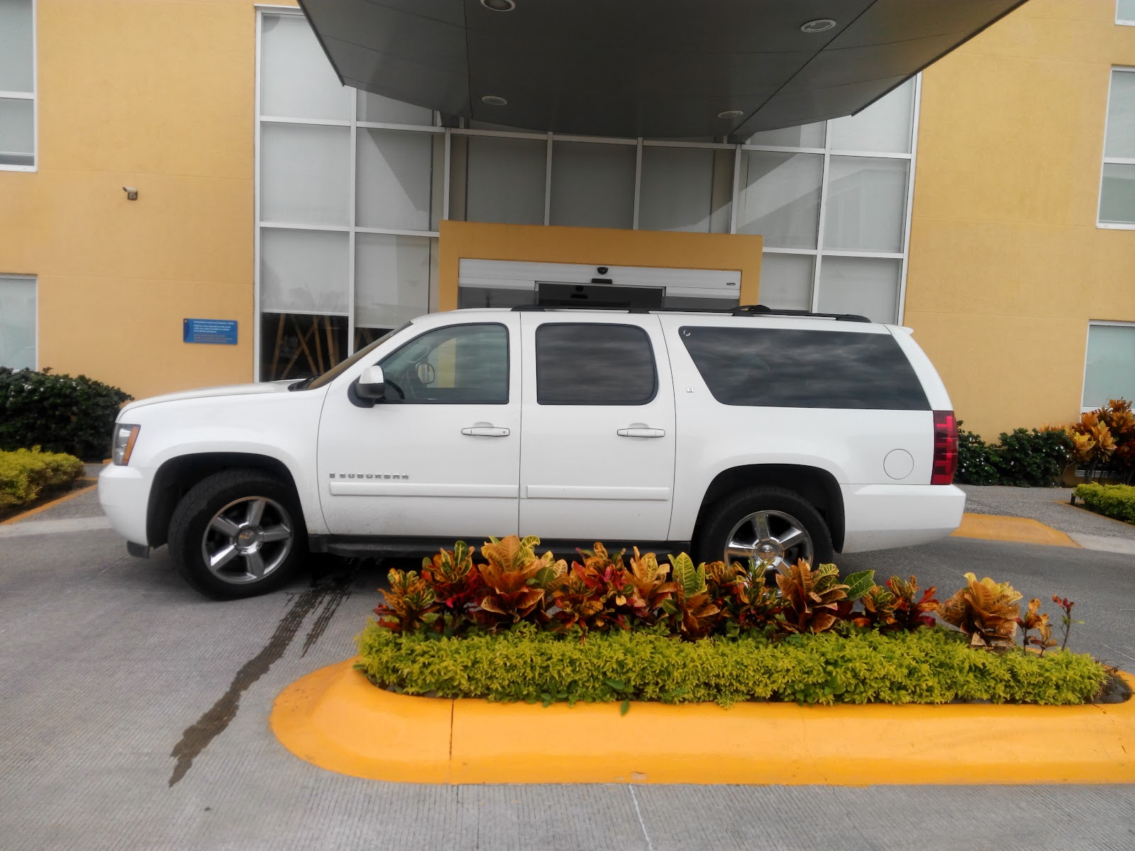 leetx-google-photo-47399-4 leetx-google-photo-47399-4