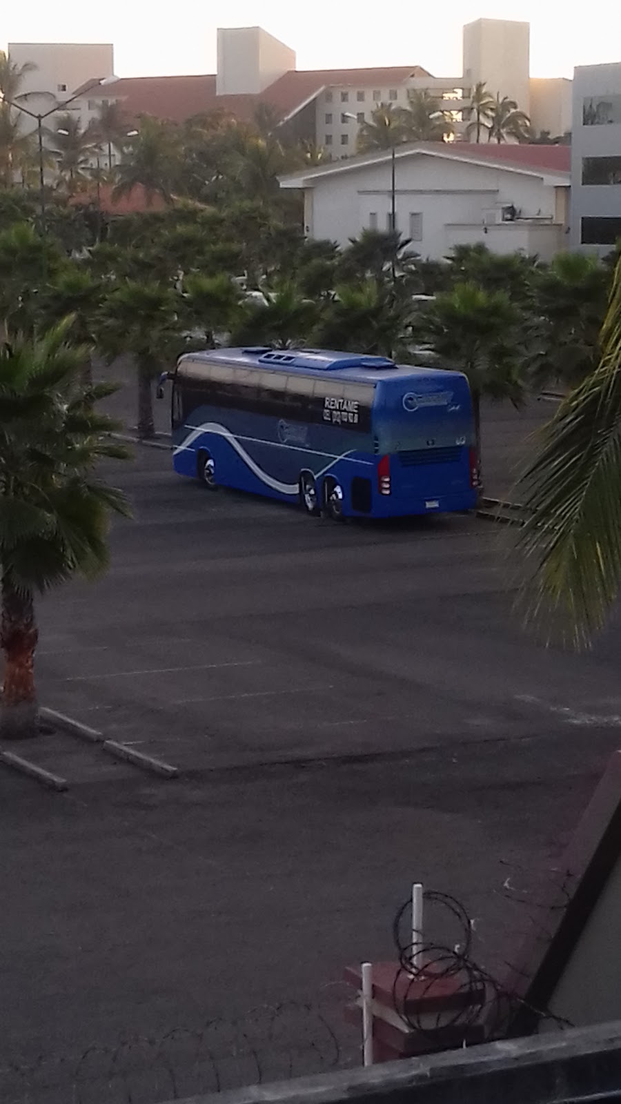 leetx-google-photo-47479-1