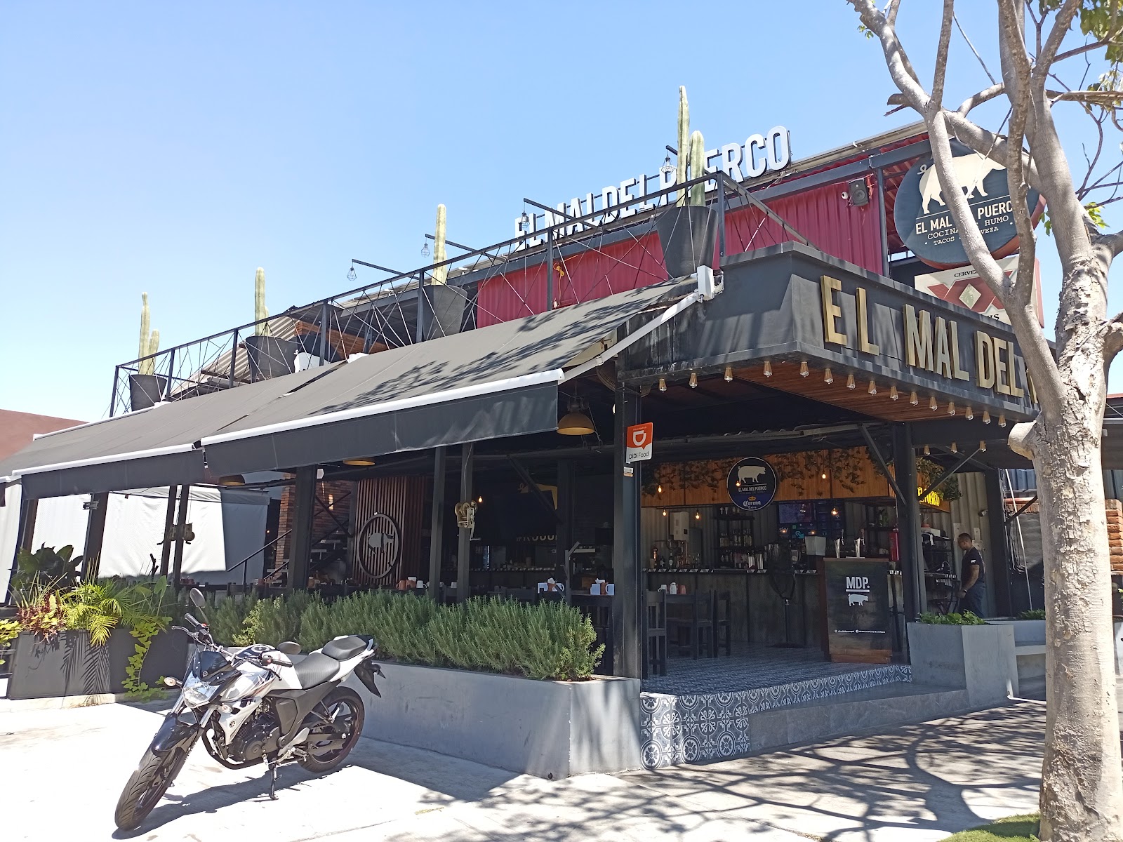 leetx-google-photo-47612-1