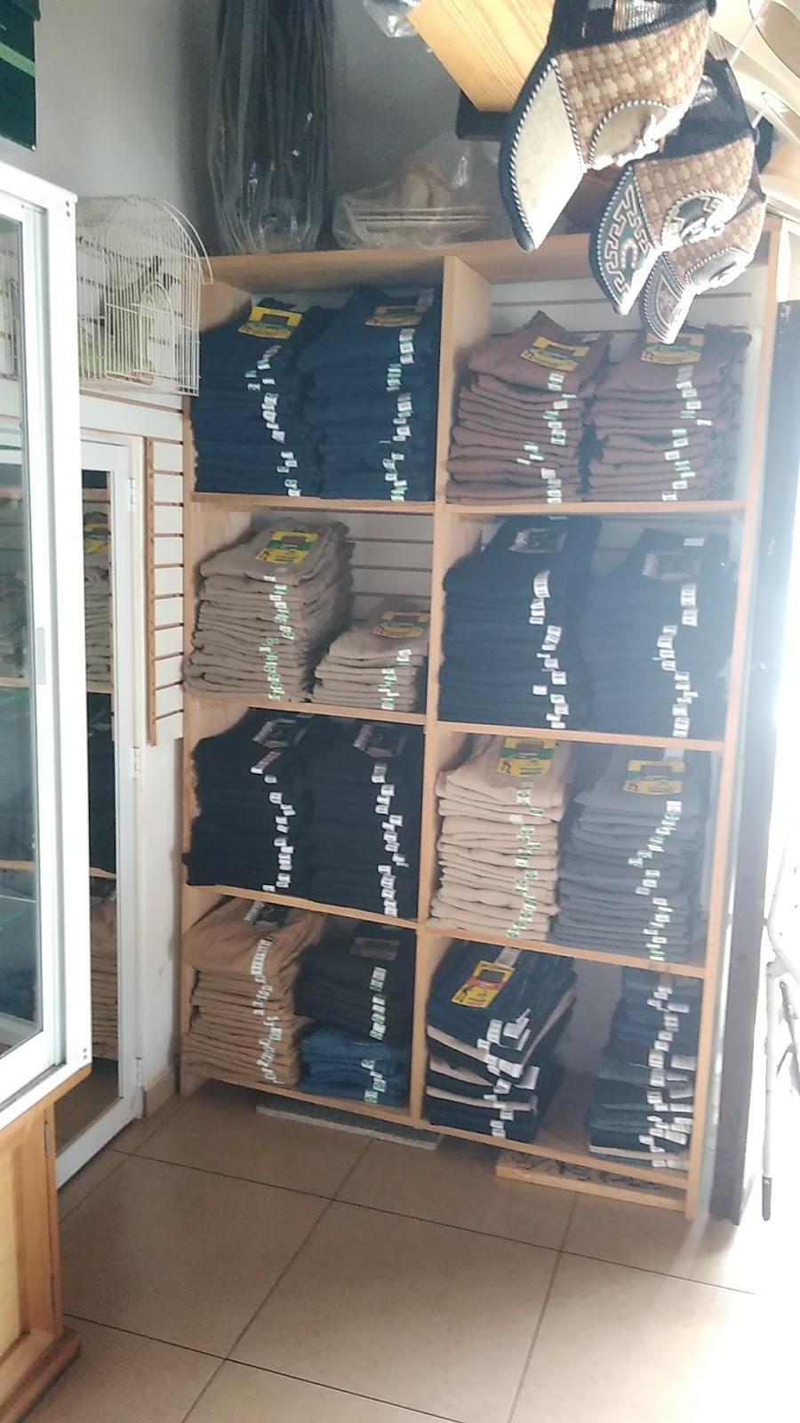 leetx-google-photo-47677-6 leetx-google-photo-47677-6