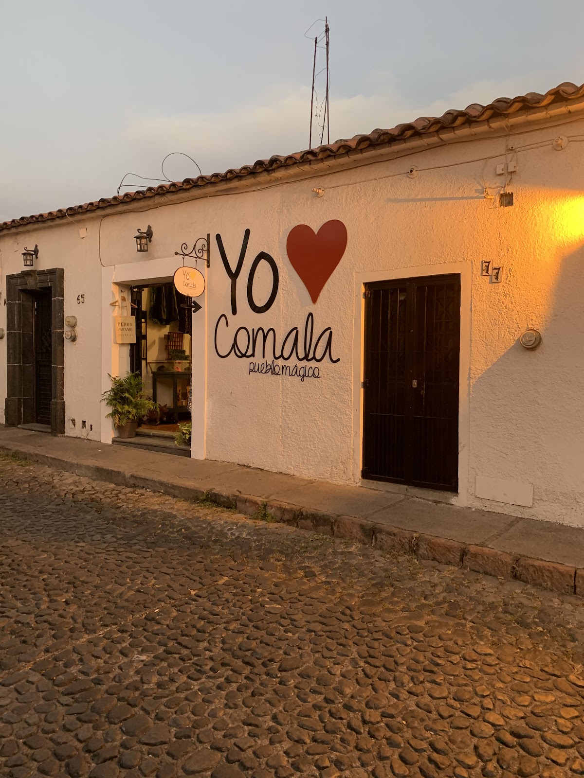 leetx-google-photo-47686-1