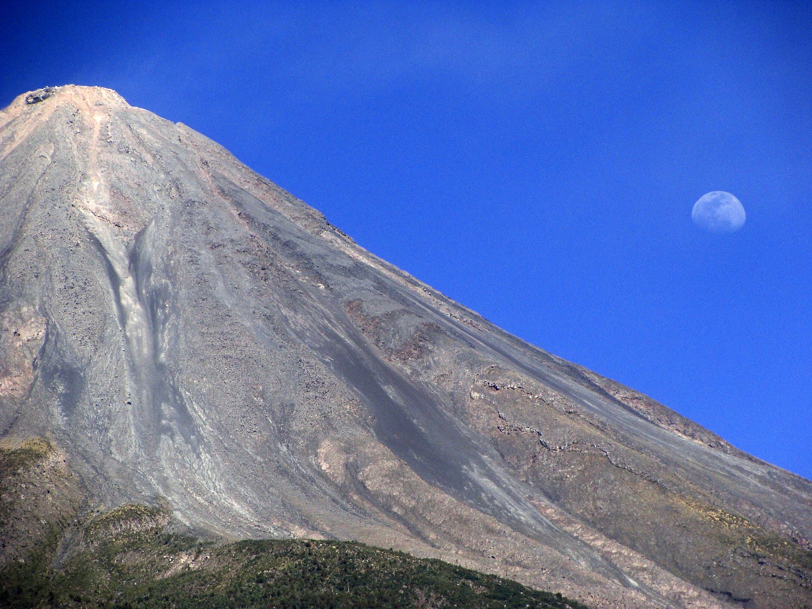 leetx-google-photo-47737-1