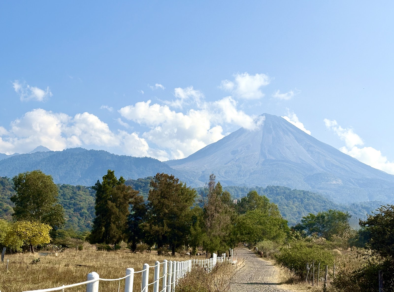 leetx-google-photo-47737-2 leetx-google-photo-47737-2