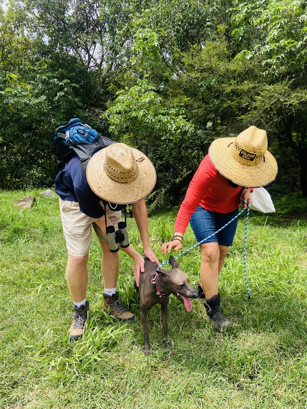 leetx-google-photo-47746-4 leetx-google-photo-47746-4