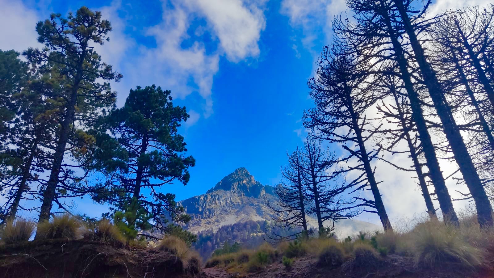 leetx-google-photo-47746-5 leetx-google-photo-47746-5