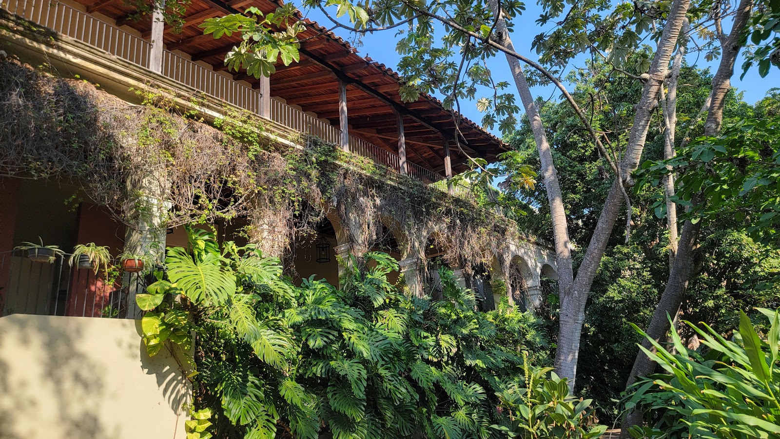 leetx-google-photo-47759-1