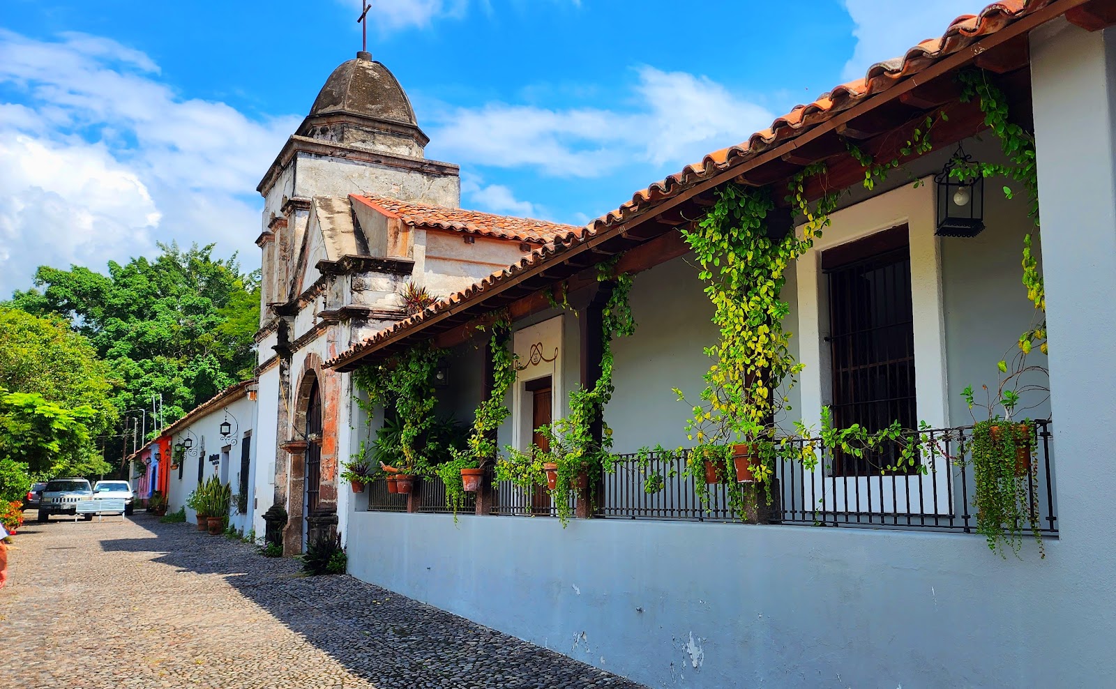 leetx-google-photo-47759-7 leetx-google-photo-47759-7