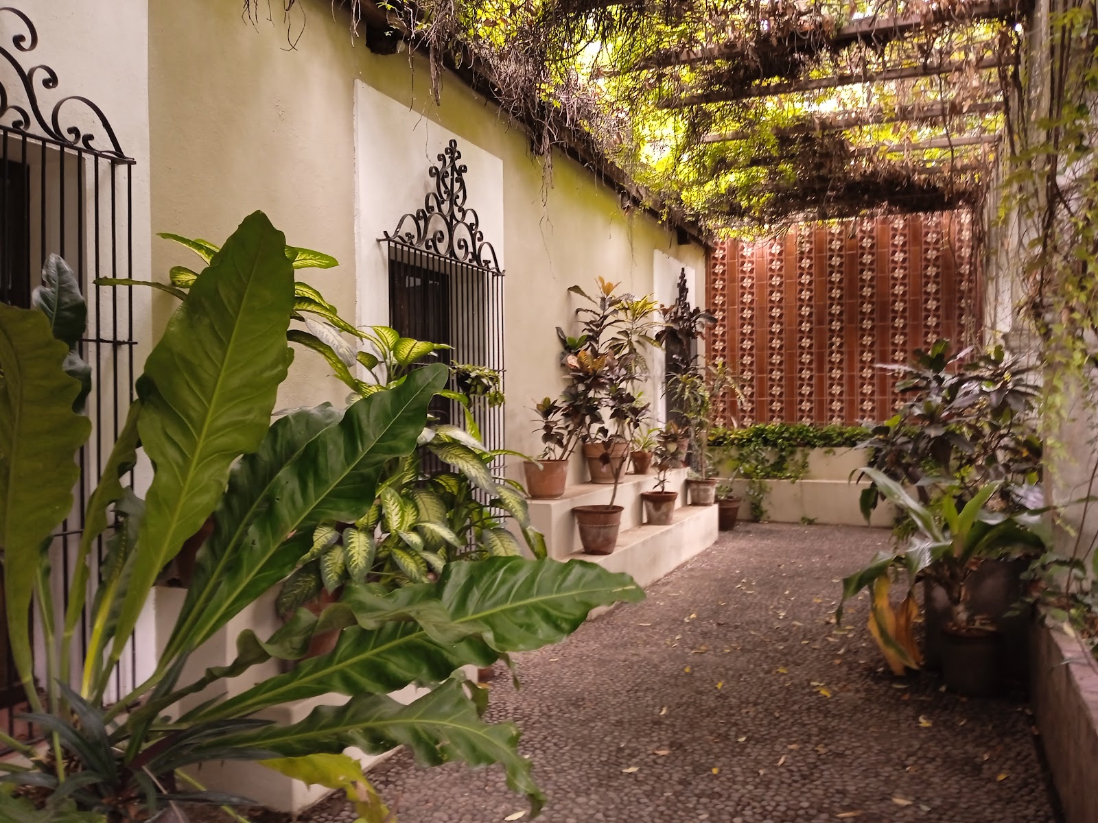 leetx-google-photo-47759-8 leetx-google-photo-47759-8