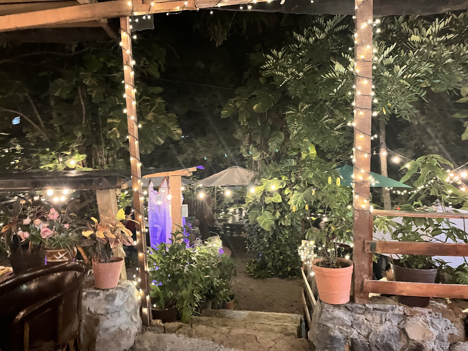 leetx-google-photo-47832-7 leetx-google-photo-47832-7