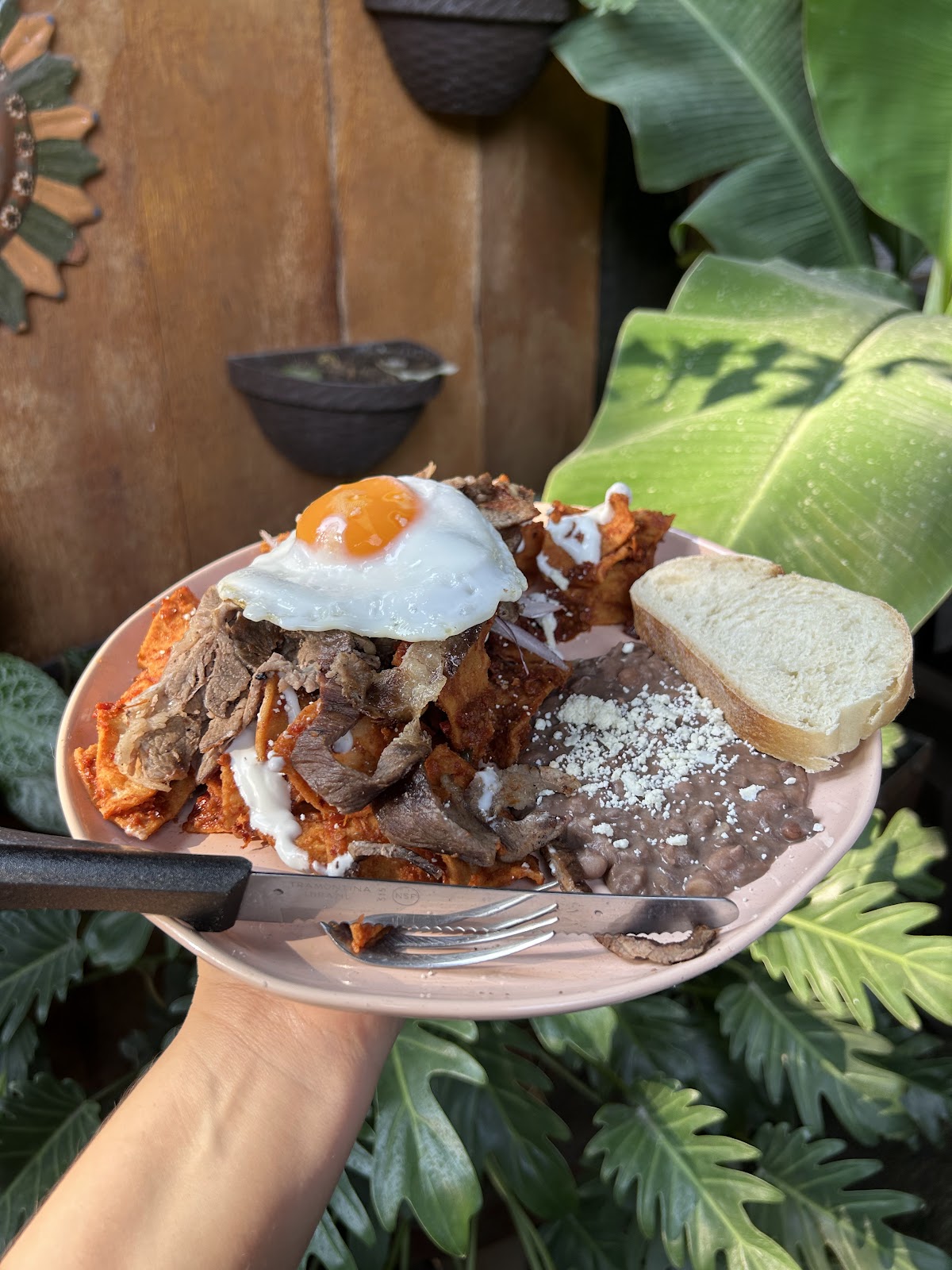 leetx-google-photo-47832-8 leetx-google-photo-47832-8