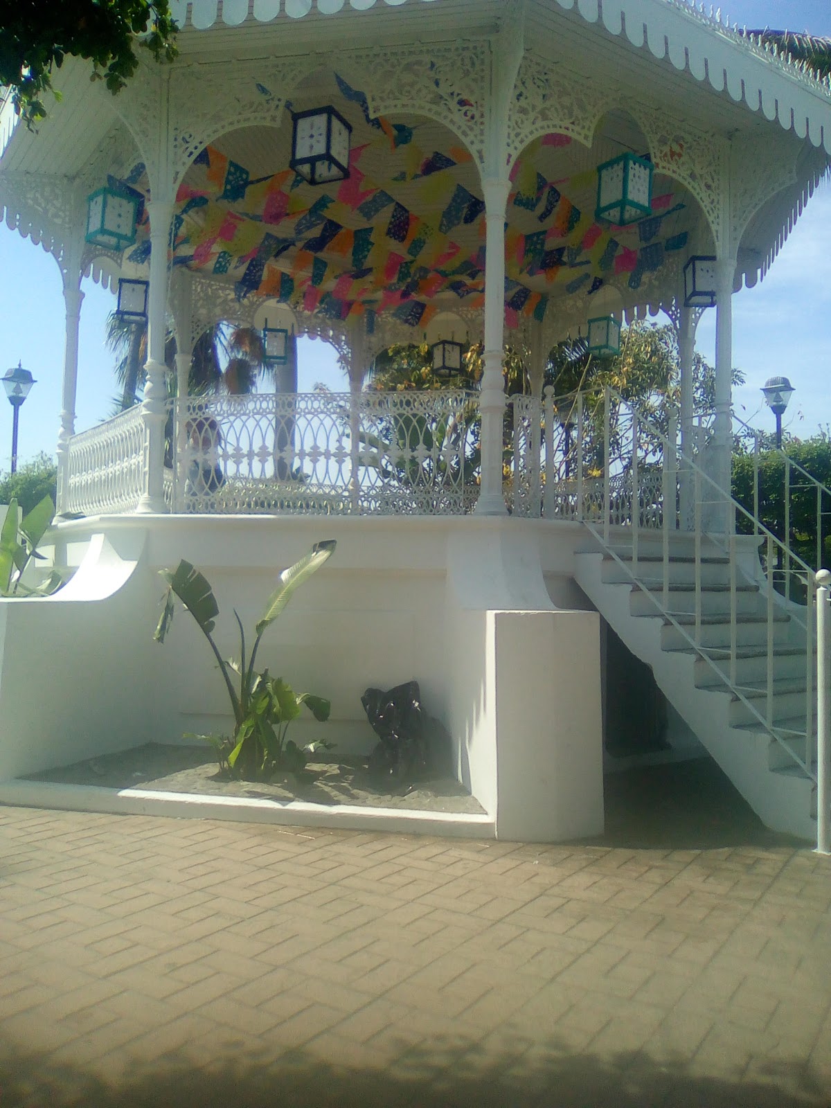 leetx-google-photo-47970-8 leetx-google-photo-47970-8