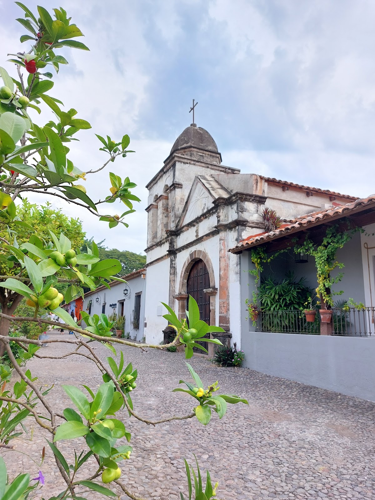 leetx-google-photo-47979-1