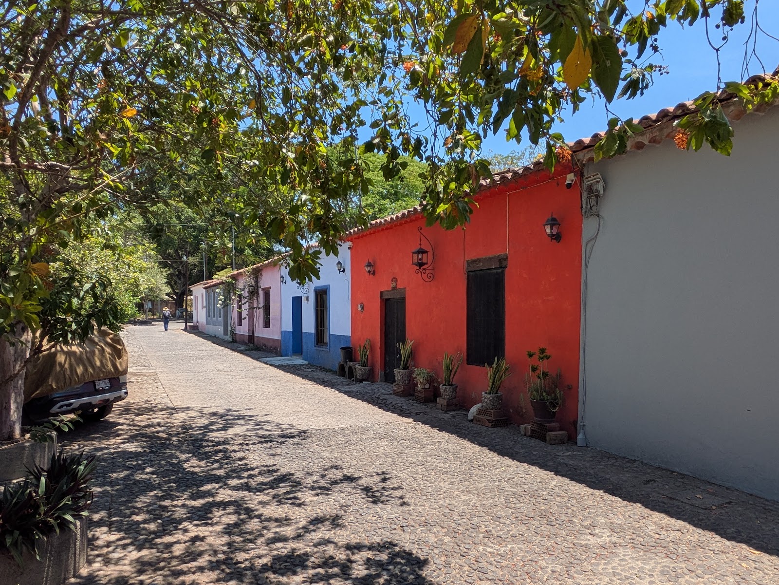 leetx-google-photo-47979-6 leetx-google-photo-47979-6