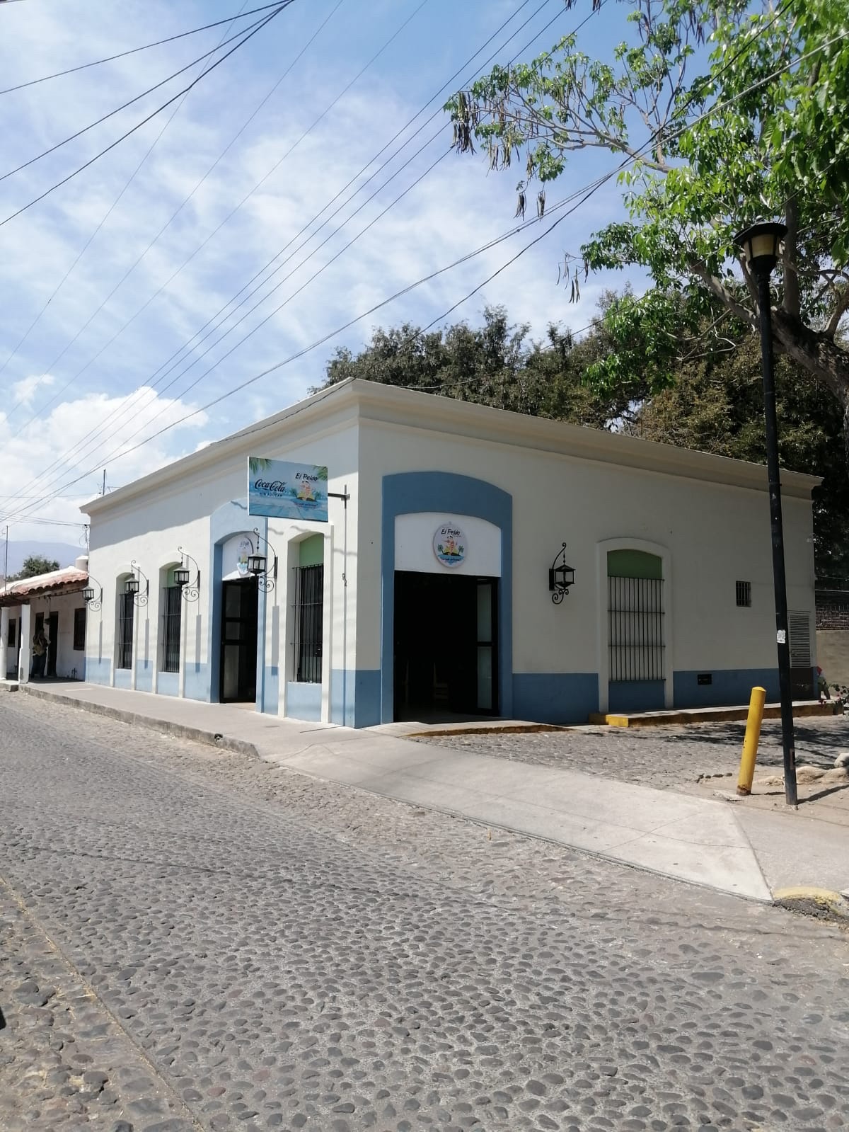 leetx-google-photo-48022-2 leetx-google-photo-48022-2