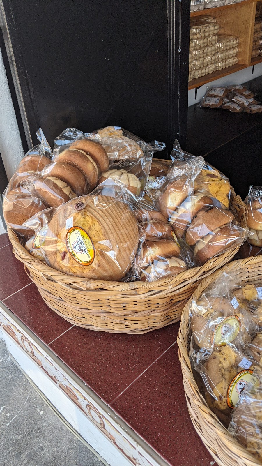 leetx-google-photo-48078-2 leetx-google-photo-48078-2