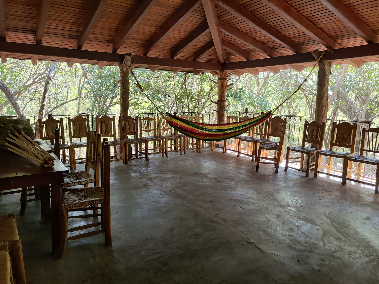 leetx-google-photo-48153-2 leetx-google-photo-48153-2