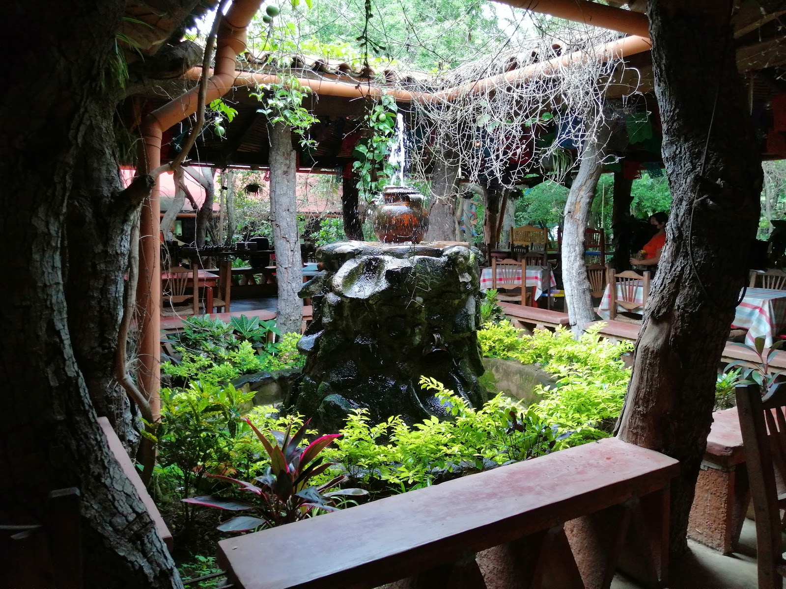 leetx-google-photo-48153-7 leetx-google-photo-48153-7