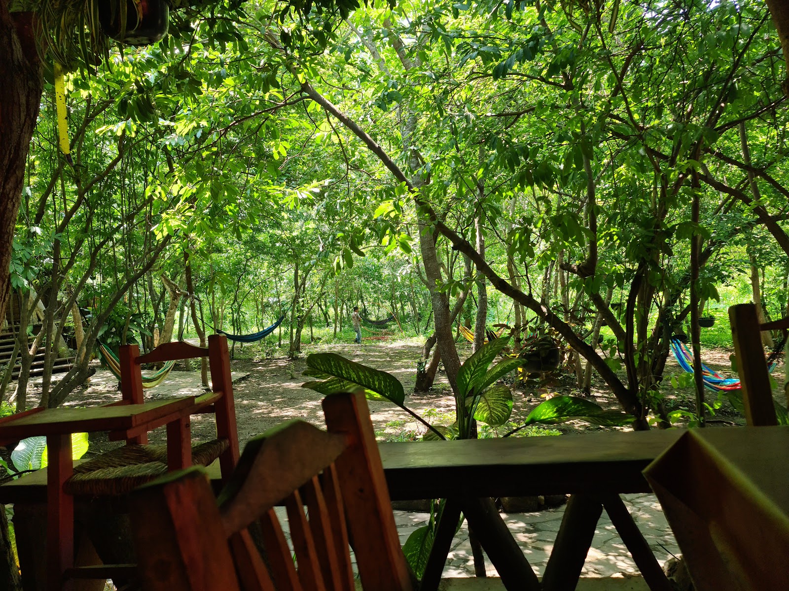 leetx-google-photo-48154-1