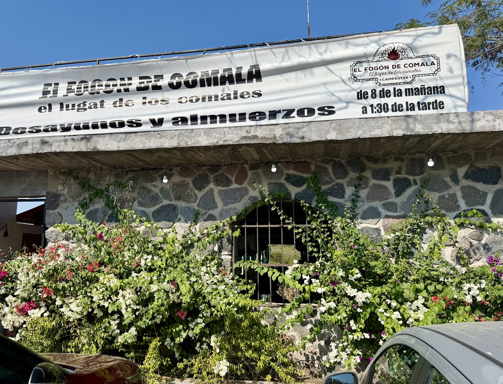 leetx-google-photo-48190-1