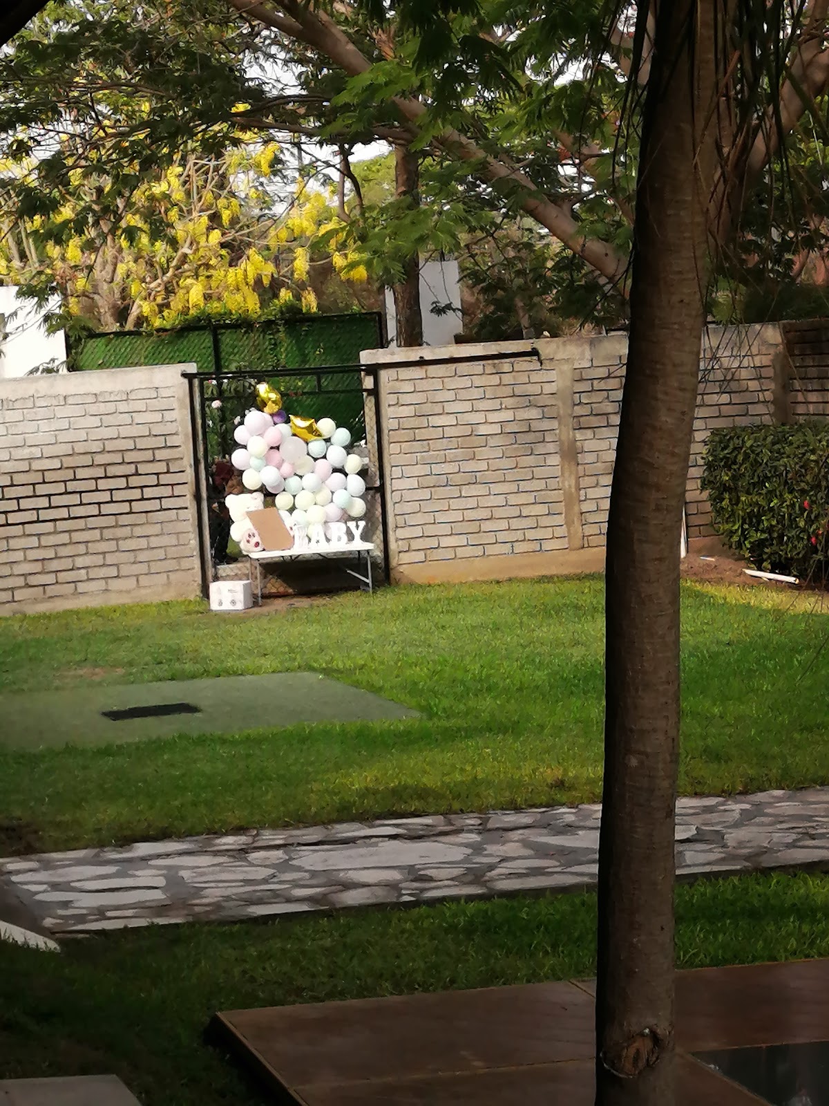 leetx-google-photo-48404-4 leetx-google-photo-48404-4