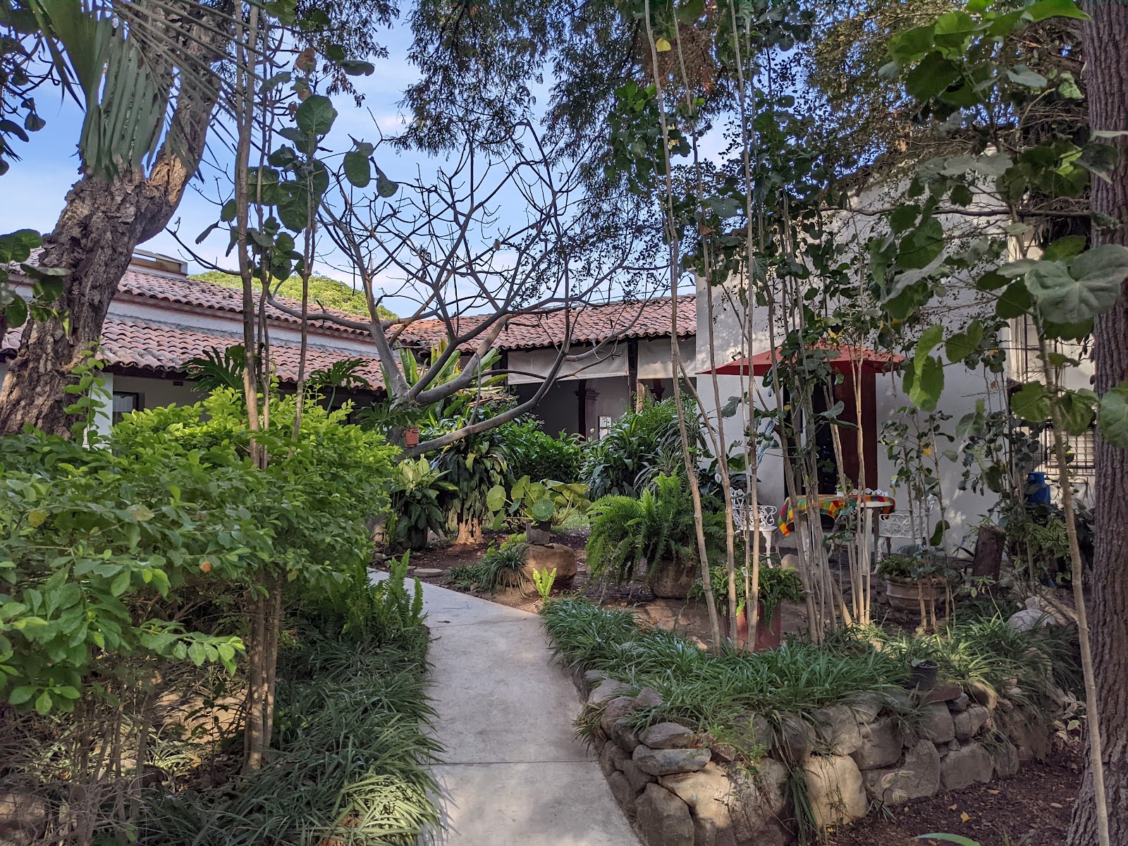 leetx-google-photo-48450-1