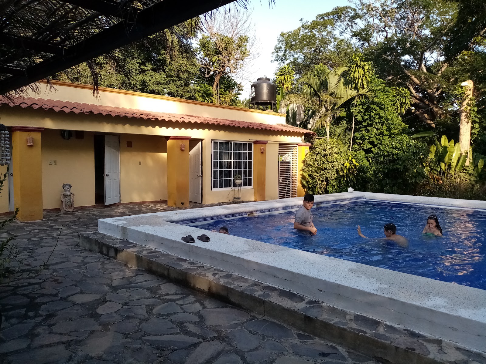 leetx-google-photo-48459-3 leetx-google-photo-48459-3