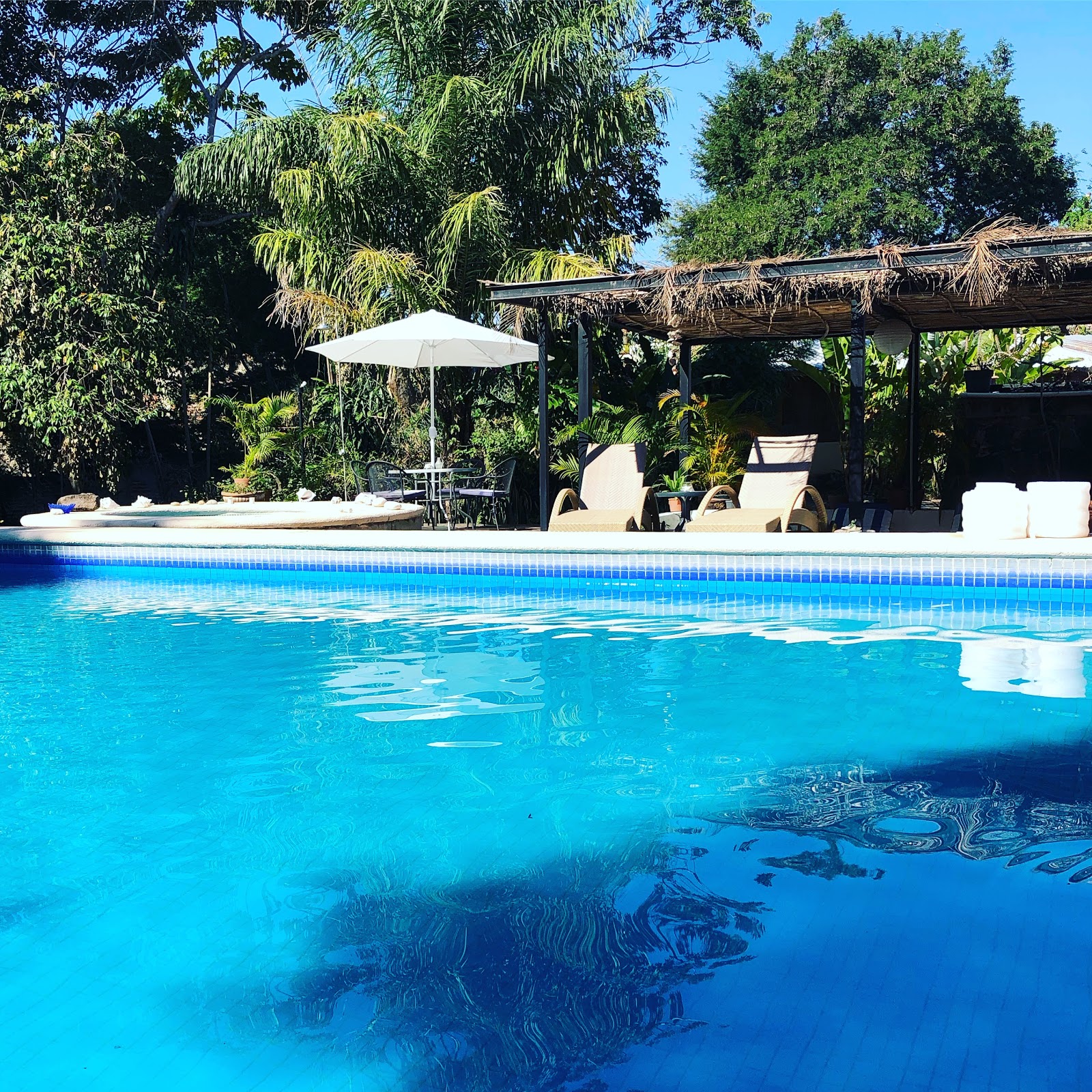 leetx-google-photo-48459-4 leetx-google-photo-48459-4