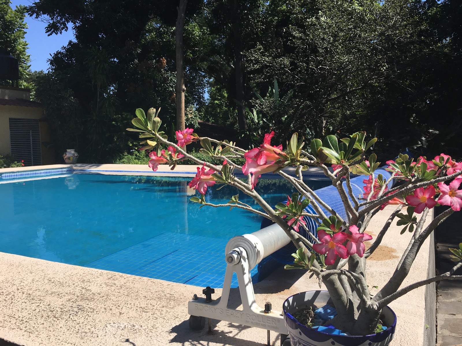 leetx-google-photo-48459-7 leetx-google-photo-48459-7