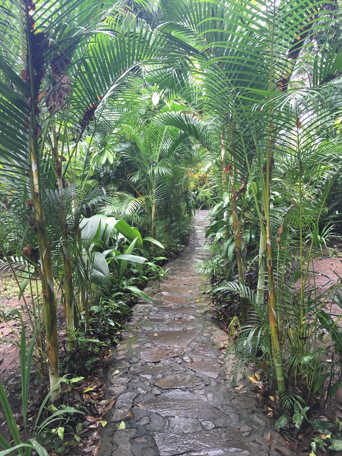 leetx-google-photo-48459-8 leetx-google-photo-48459-8