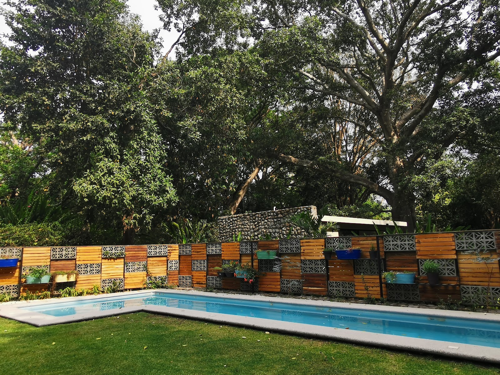 leetx-google-photo-48477-3 leetx-google-photo-48477-3