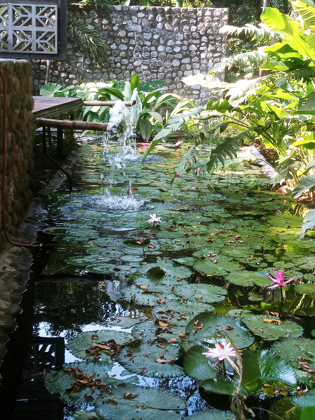 leetx-google-photo-48477-6 leetx-google-photo-48477-6