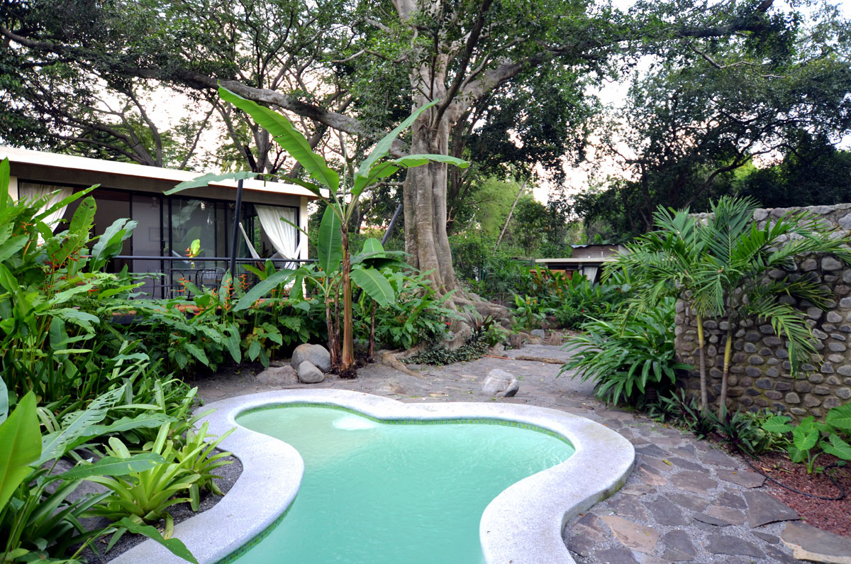 leetx-google-photo-48477-7 leetx-google-photo-48477-7