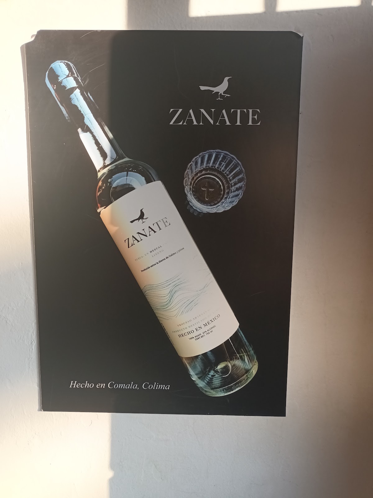 leetx-google-photo-48486-2 leetx-google-photo-48486-2