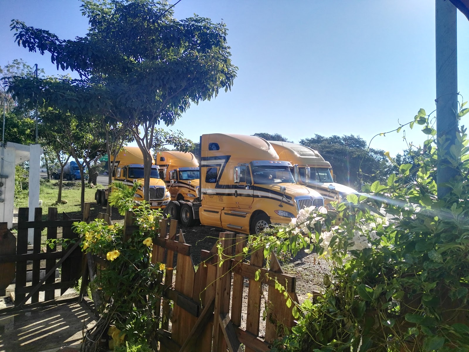 leetx-google-photo-48538-6 leetx-google-photo-48538-6