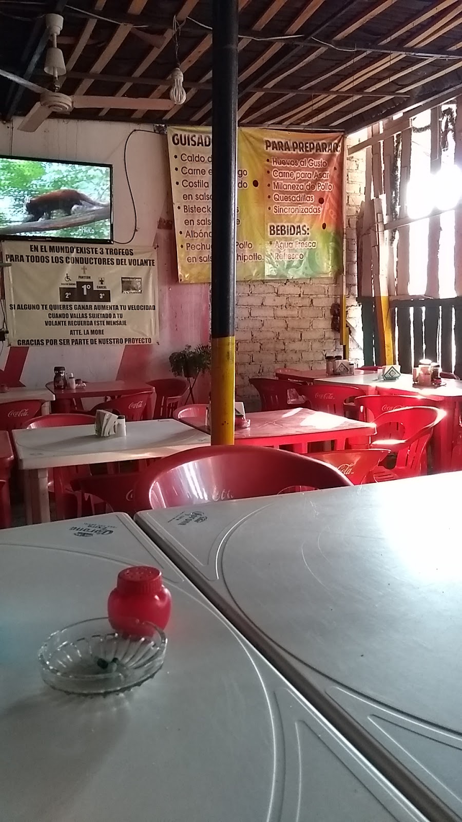 leetx-google-photo-48581-3 leetx-google-photo-48581-3