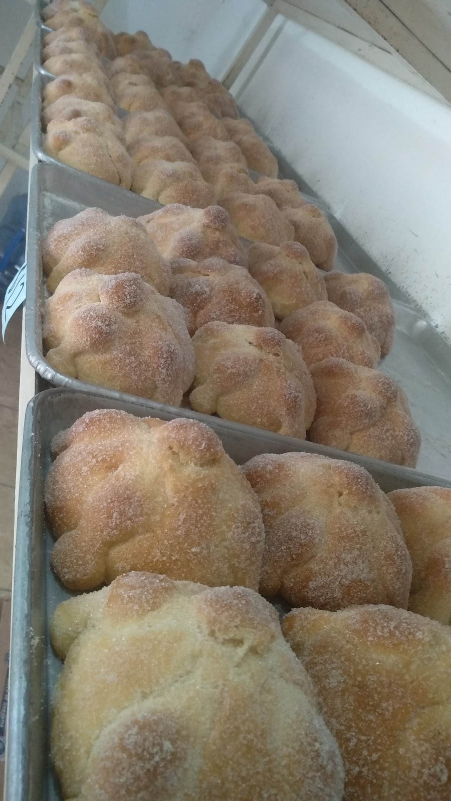 leetx-google-photo-48594-1