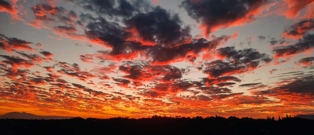 leetx-google-photo-48605-6 leetx-google-photo-48605-6