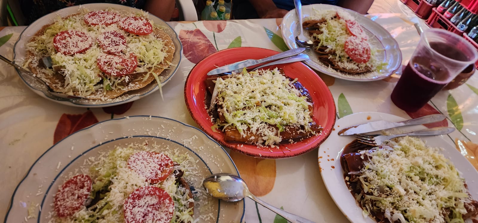 leetx-google-photo-48628-4 leetx-google-photo-48628-4